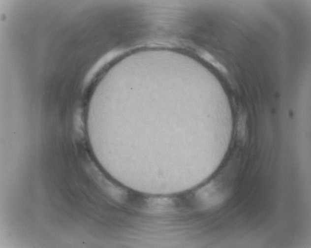 X0000082721454200702232309