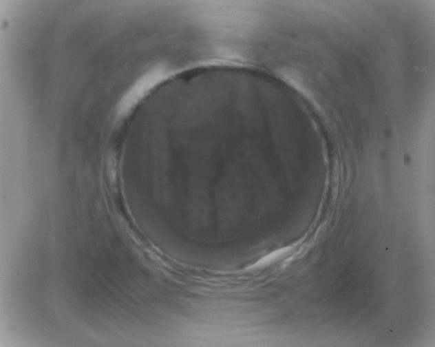 X0000082721455200702232309