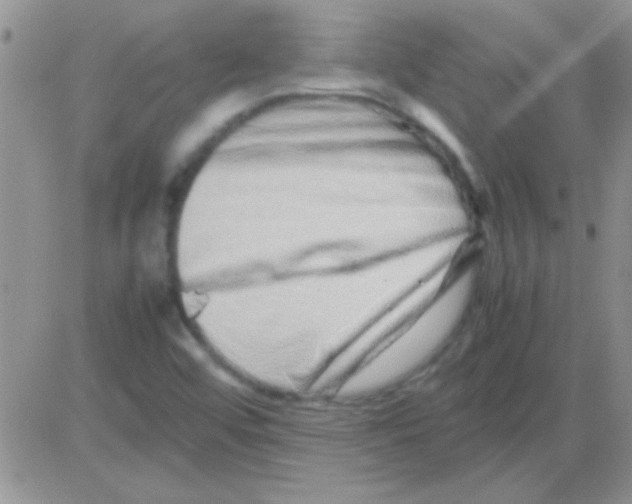 X0000082721456200702232309