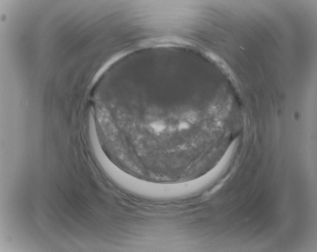 X0000082721457200702232309