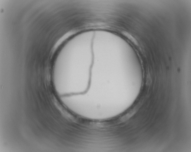 X0000082721458200702232309