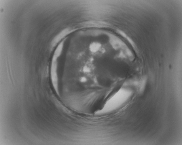 X0000082721459200702232309