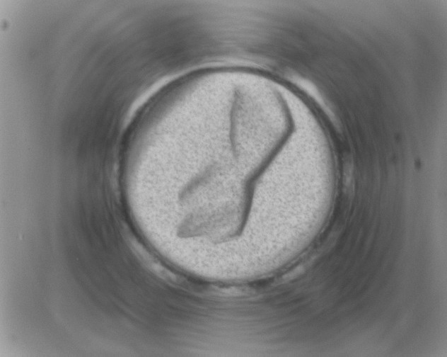 X0000082721460200702232309