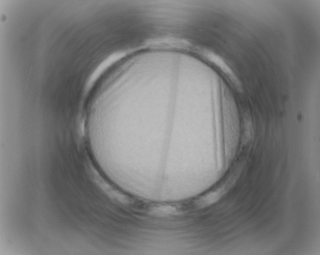 X0000082721462200702232309