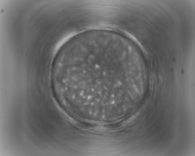 X0000082721463200702232309