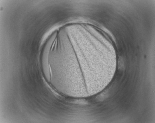 X0000082721464200702232309