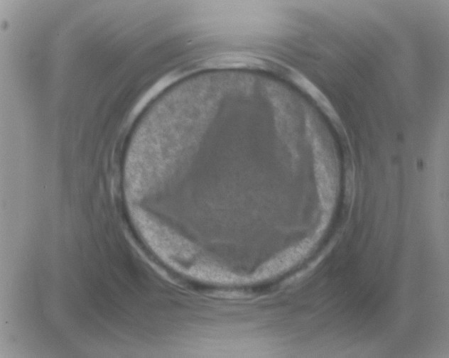 X0000082721465200702232309