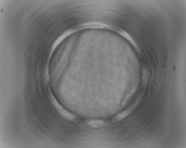 X0000082721466200702232309