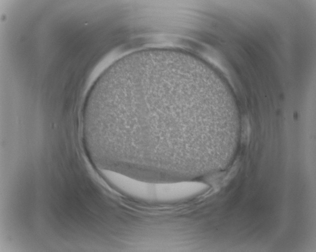 X0000082721467200702232309