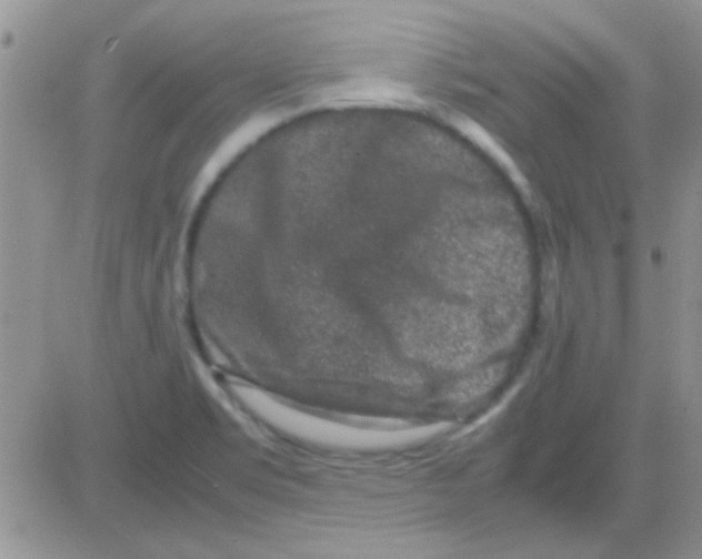 X0000082721469200702232309