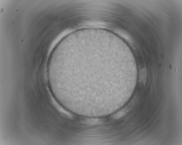 X0000082721470200702232309