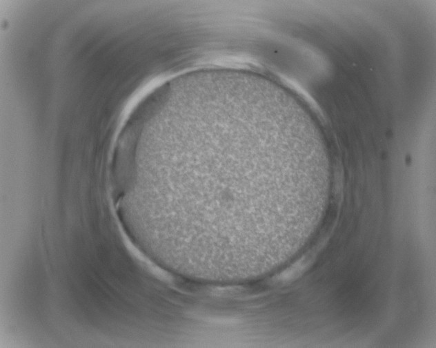 X0000082721471200702232309