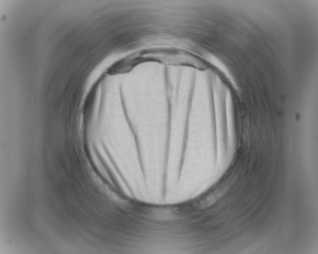 X0000082721472200702232309