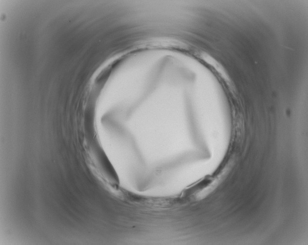 X0000082721473200702232309