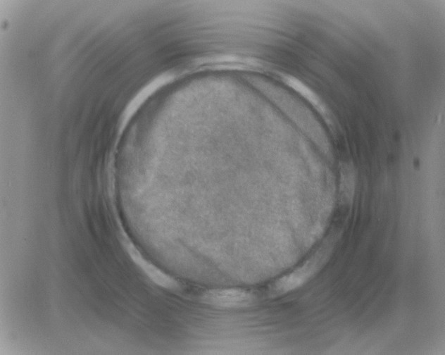 X0000082721474200702232309