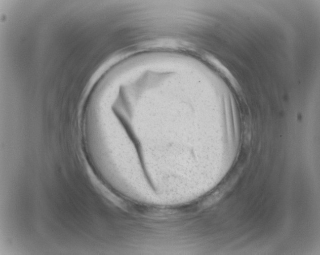 X0000082721475200702232309