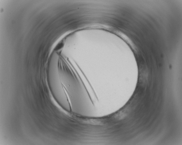 X0000082721476200702232309