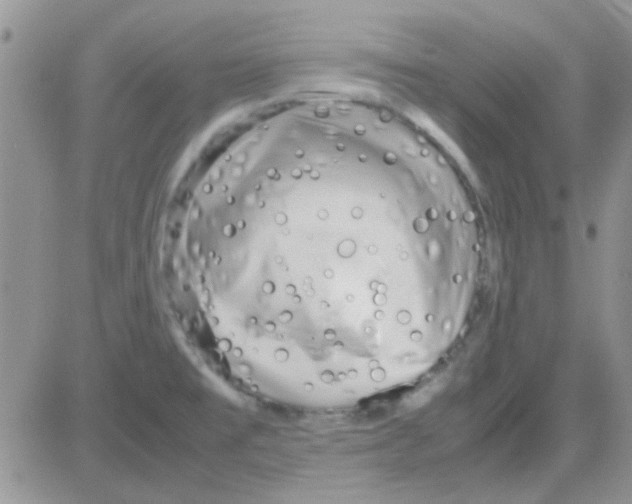 X0000082721477200702232309