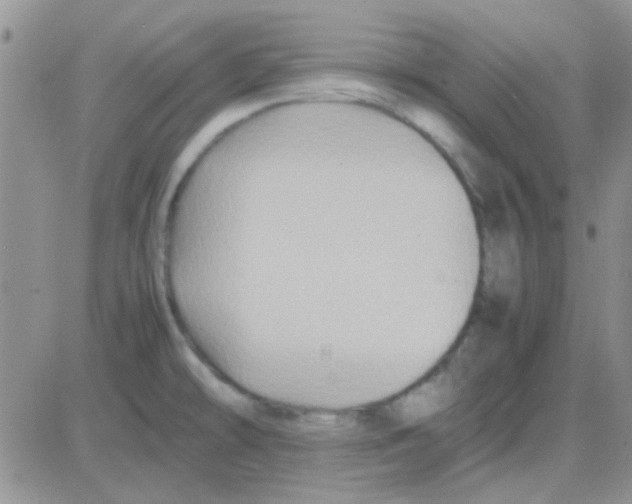 X0000082721478200702232309