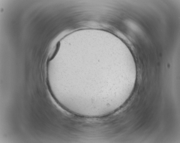 X0000082721479200702232309