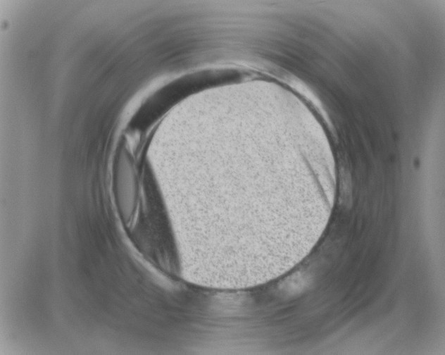 X0000082721480200702232309