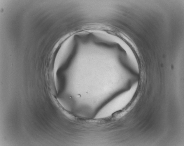 X0000082721481200702232309