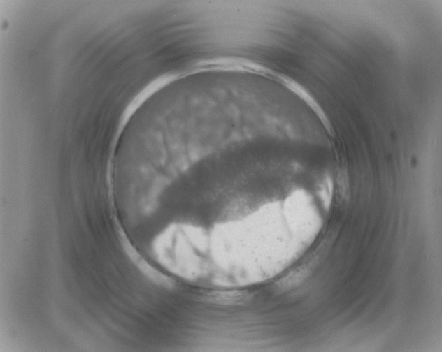 X0000082721482200702232309