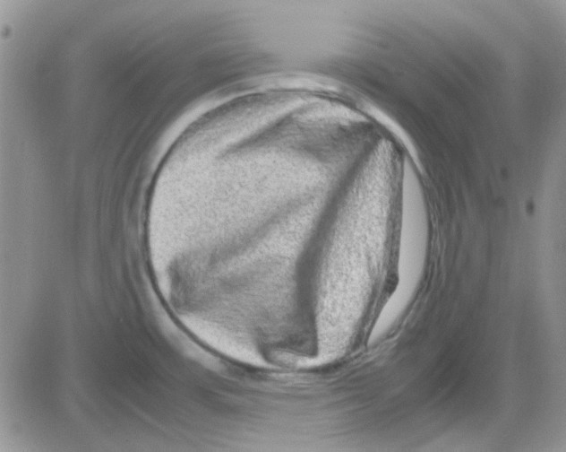 X0000082721483200702232309