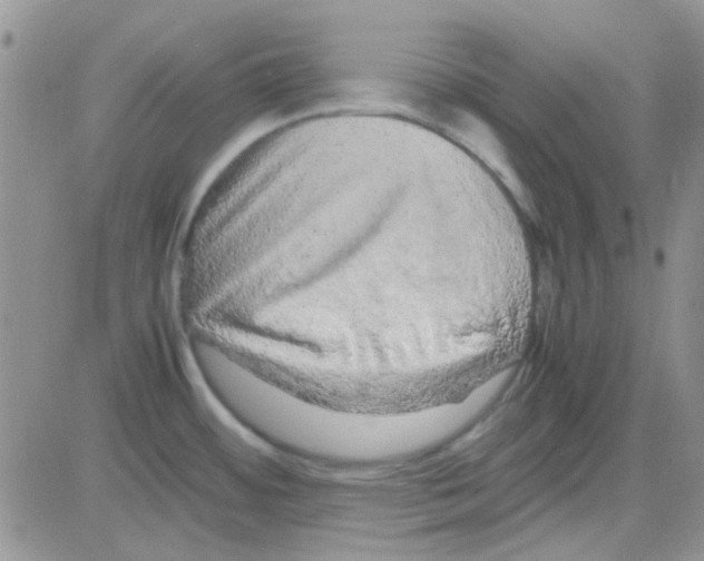 X0000082721484200702232309