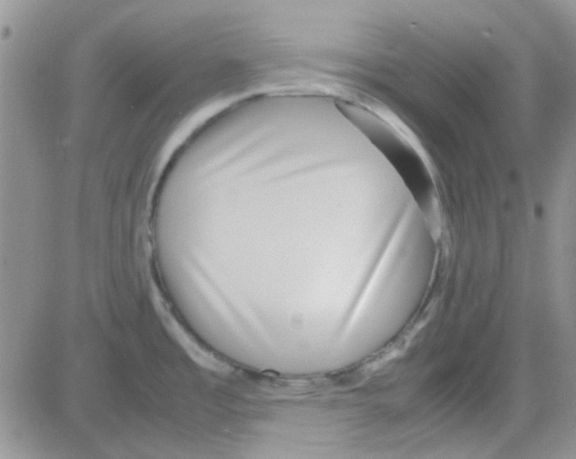 X0000082721485200702232309