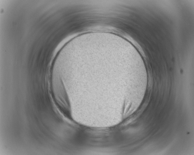 X0000082721486200702232309