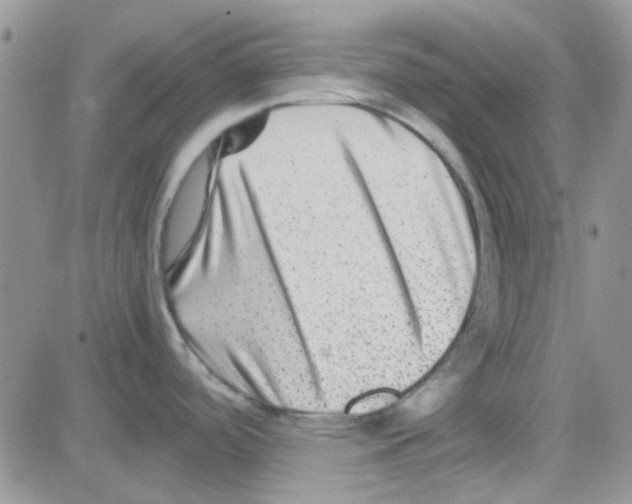 X0000082721488200702232309