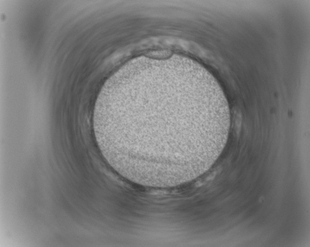 X0000082721489200702232308