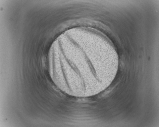 X0000082721490200702232308