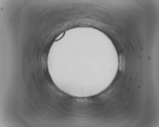 X0000082721491200702232308