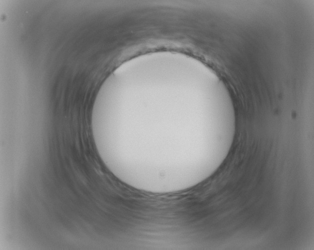 X0000082721492200702232308