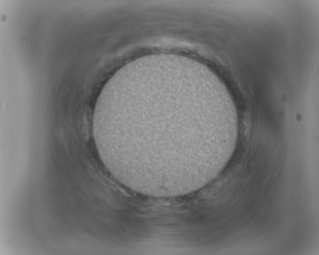 X0000082721493200702232308