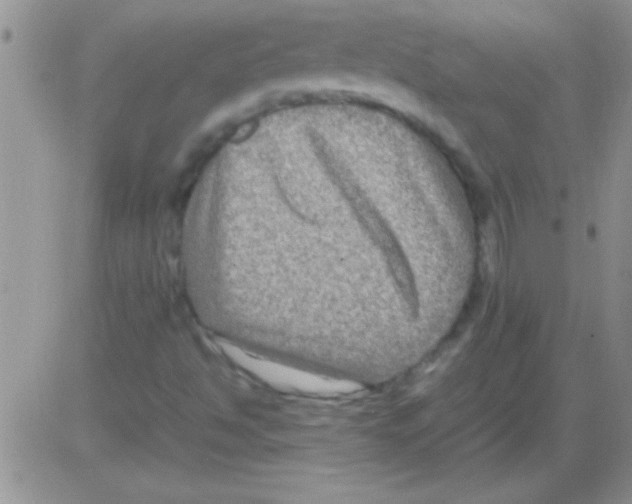 X0000082721494200702232308