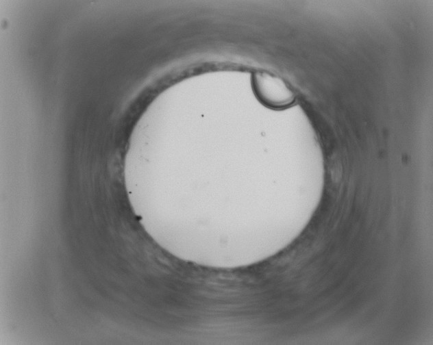 X0000082721495200702232308