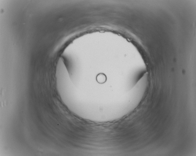 X0000082721496200702232308