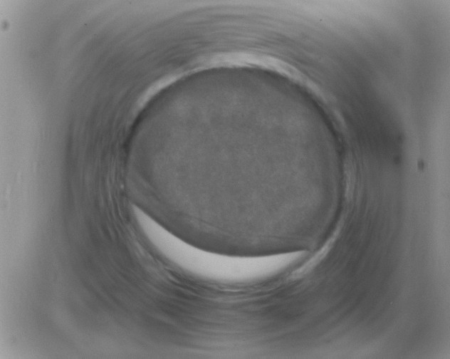 X0000082721497200702232308