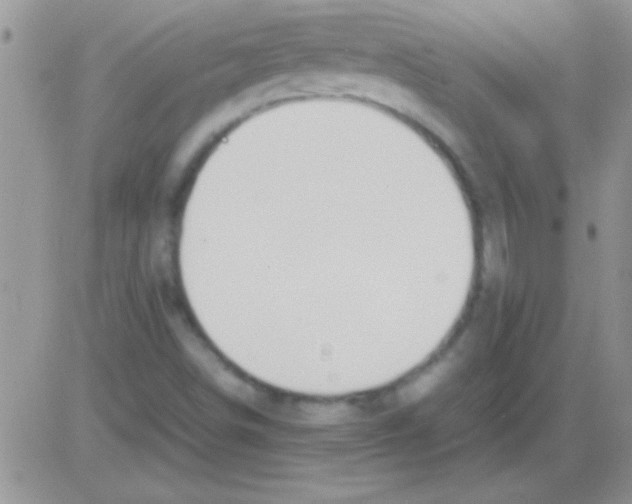 X0000082721498200702232308