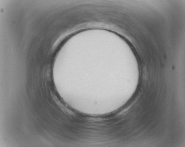 X0000082721499200702232308