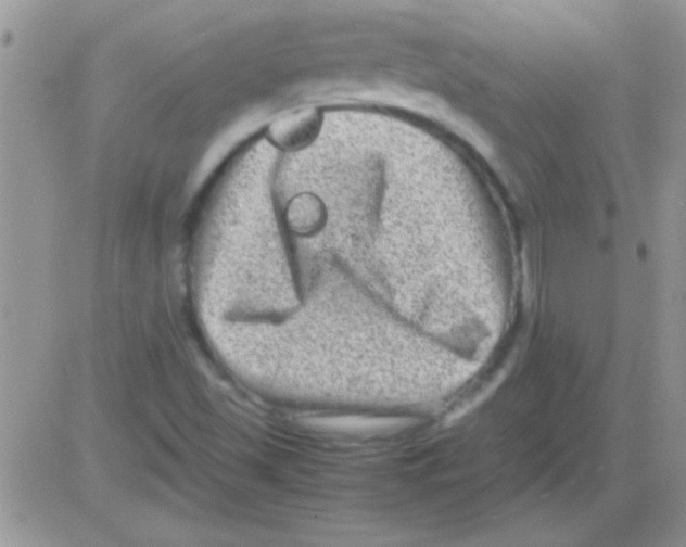 X0000082721501200702232308