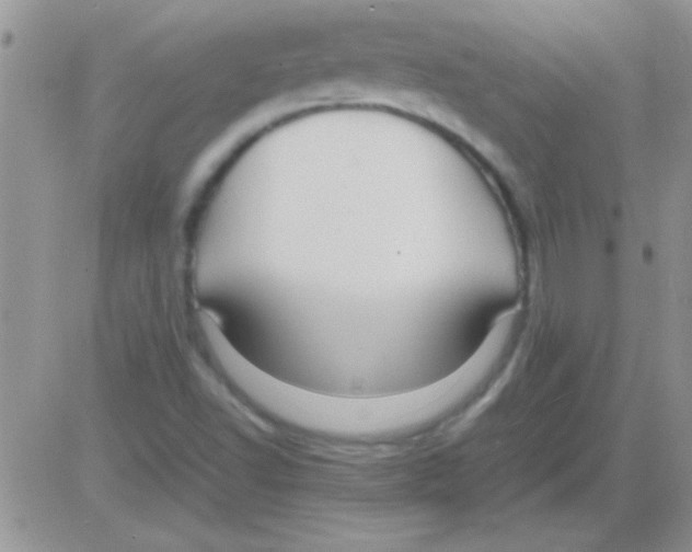 X0000082721502200702232308