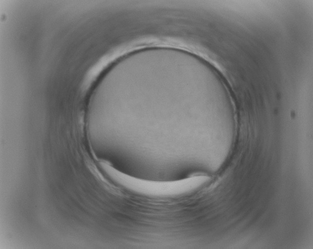 X0000082721503200702232308