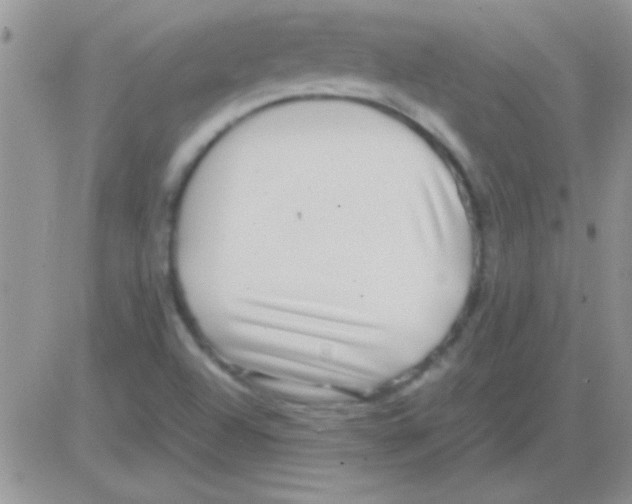 X0000082721504200702232308