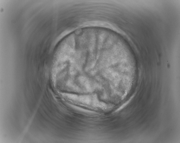 X0000082721505200702232308