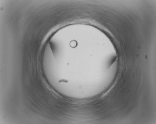 X0000082721506200702232308