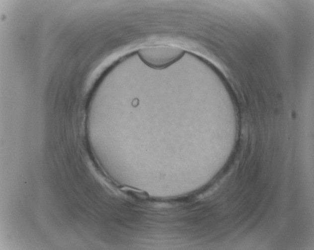 X0000082721507200702232308